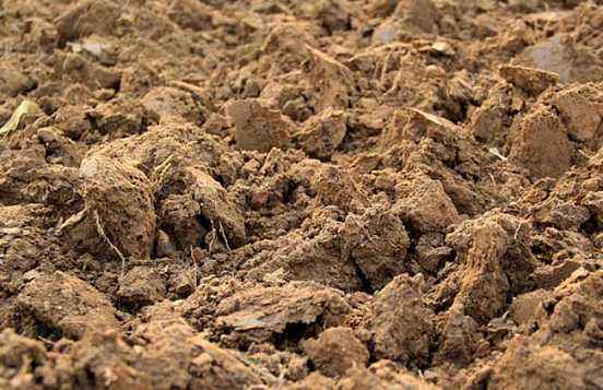 测土配方施肥仪提升肥料利用效率