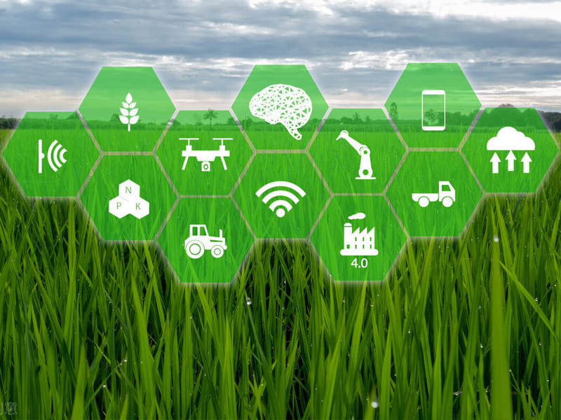 恒美科技农业检测仪器迈向纵深发展新阶段