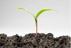 测土配方施肥仪器促进农业的增产增收
