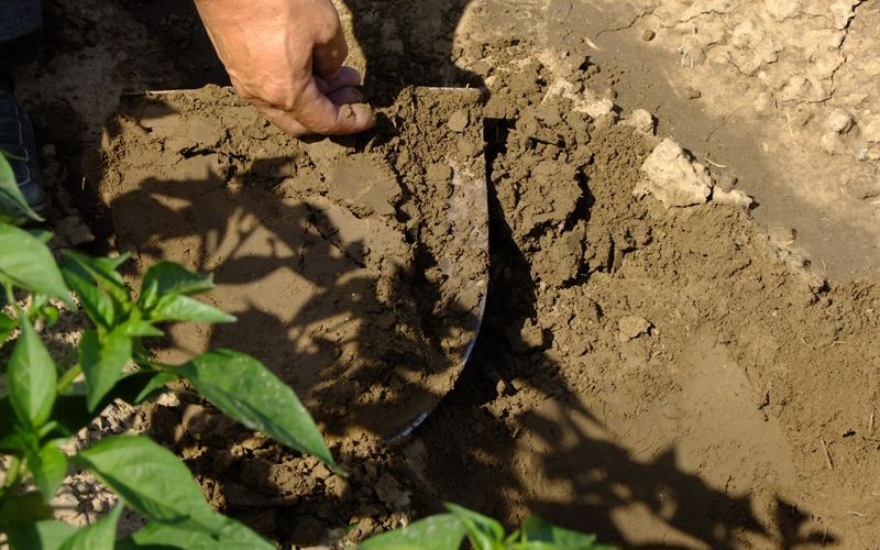 选择合适的土壤养分检测仪需要分析哪些问题？