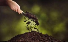 土壤肥料养分检测仪助力提升土壤肥力