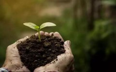 使用测土配方施肥仪实现科学合理施肥