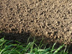 土壤微量元素测定仪检测哪些土壤微量元素