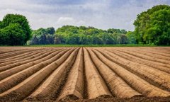 肥料养分快速检测仪提供耕地质量保障