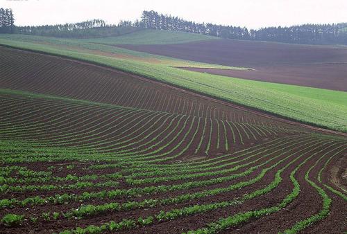 土壤肥料养分测速仪