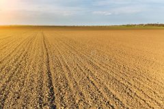土壤养分测试仪怎么选