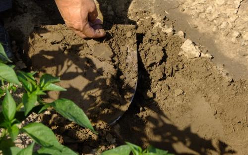 土壤检测仪